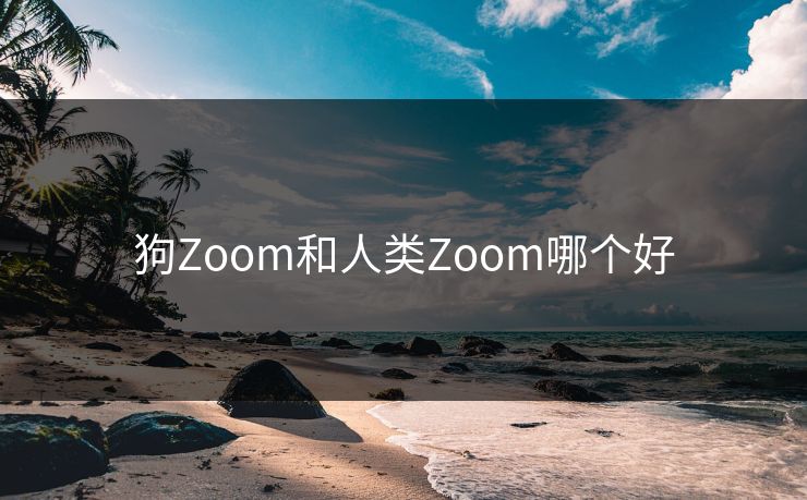 狗Zoom和人类Zoom哪个好