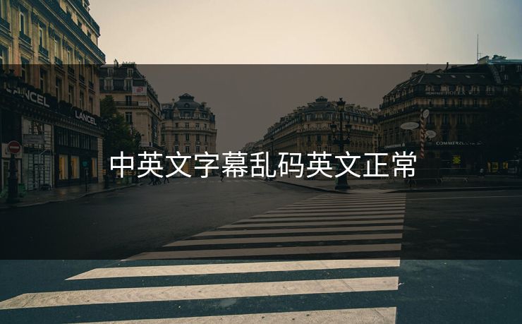 中英文字幕乱码英文正常