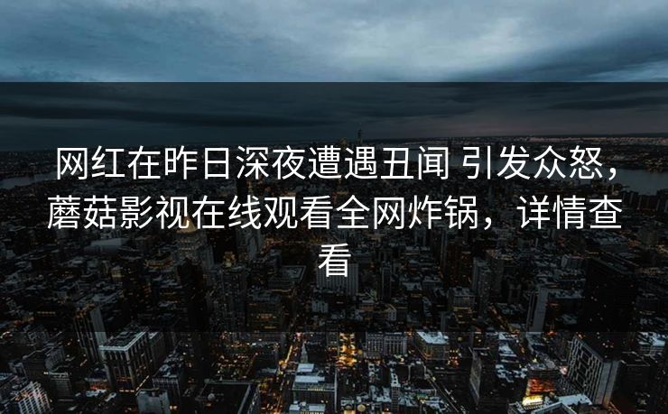 网红在昨日深夜遭遇丑闻 引发众怒，蘑菇影视在线观看全网炸锅，详情查看