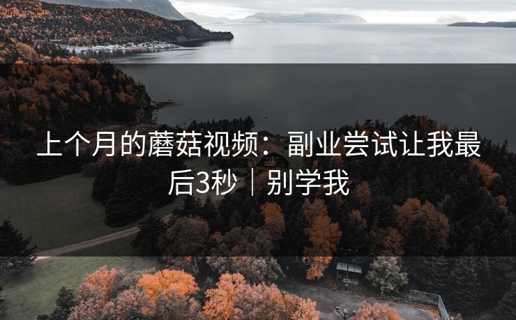 上个月的蘑菇视频:副业尝试让我最后3秒|别学我 上个月的蘑菇视频:副业尝试让我最后3秒|别学我