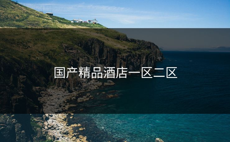 国产精品酒店一区二区