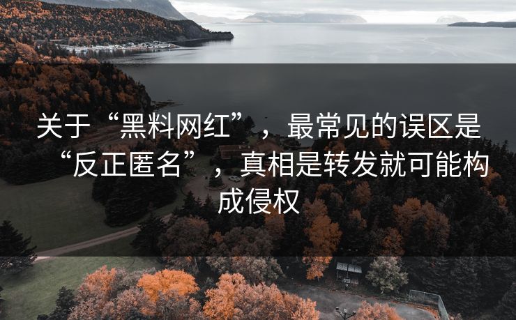 关于“黑料网红”,最常见的误区是“反正匿名”,真相是转发就可能构成侵权 关于“黑料网红”,最常见的误区是“反正匿名”,真相是转发就可能构成侵权