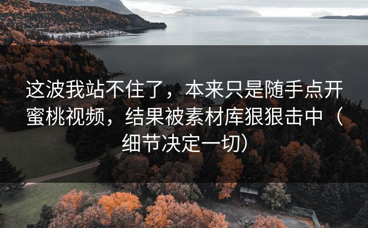 这波我站不住了,本来只是随手点开蜜桃视频,结果被素材库狠狠击中(细节决定一切) 这波我站不住了,本来只是随手点开蜜桃视频,结果被素材库狠狠击中(细节决定一切)