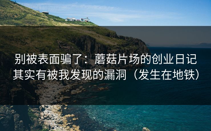 别被表面骗了：蘑菇片场的创业日记其实有被我发现的漏洞（发生在地铁）