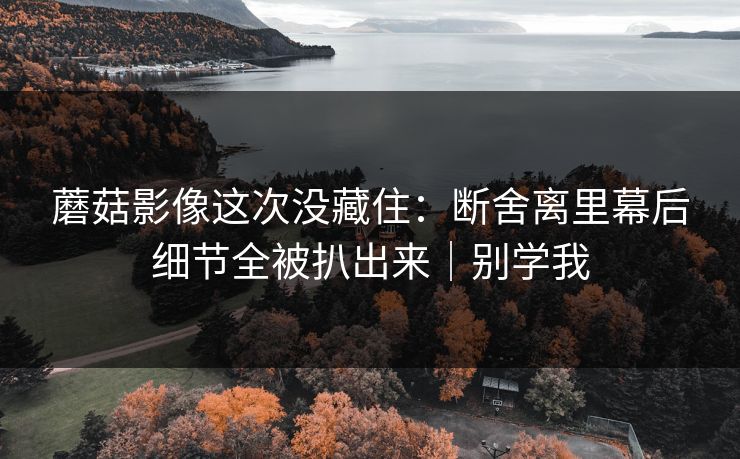 蘑菇影像这次没藏住：断舍离里幕后细节全被扒出来｜别学我